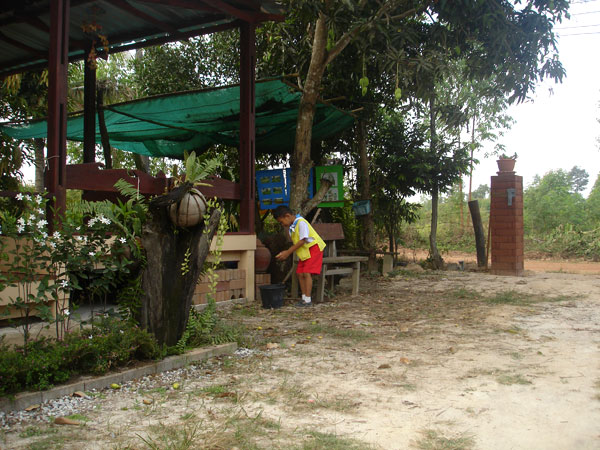 ภาพที่ 1