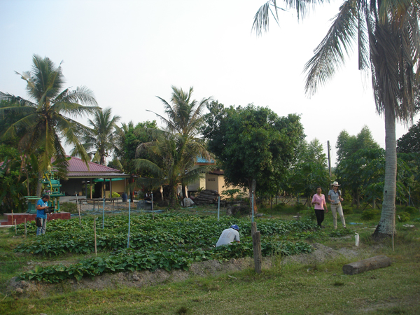 ภาพที่ 6