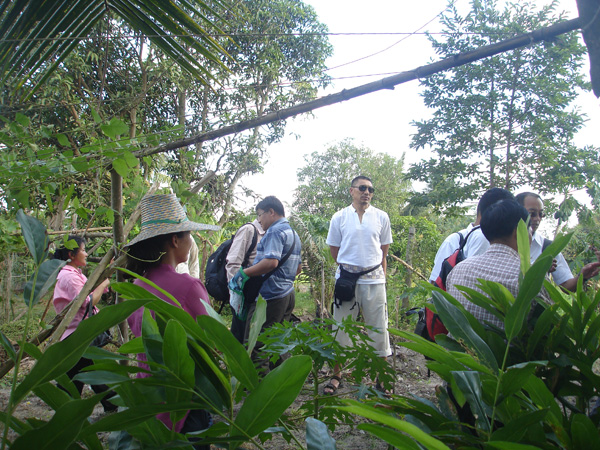 ภาพที่ 6