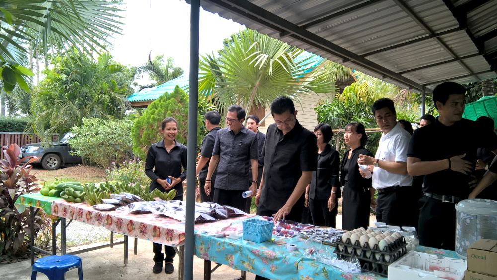 ภาพที่ 8