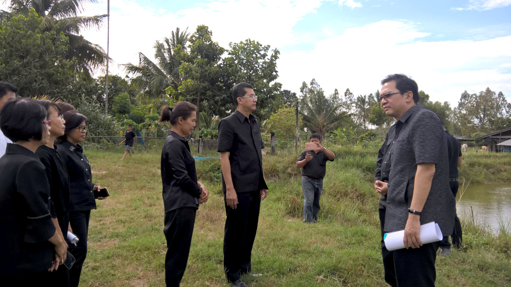 ภาพที่ 11