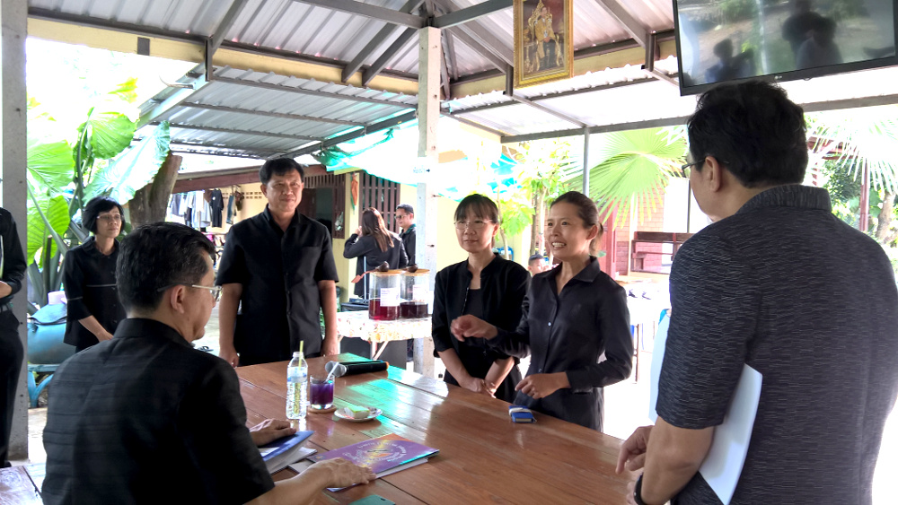 ภาพที่ 13