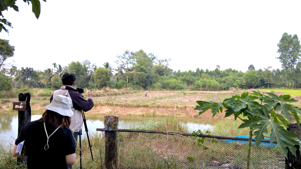 ภาพที่ 2