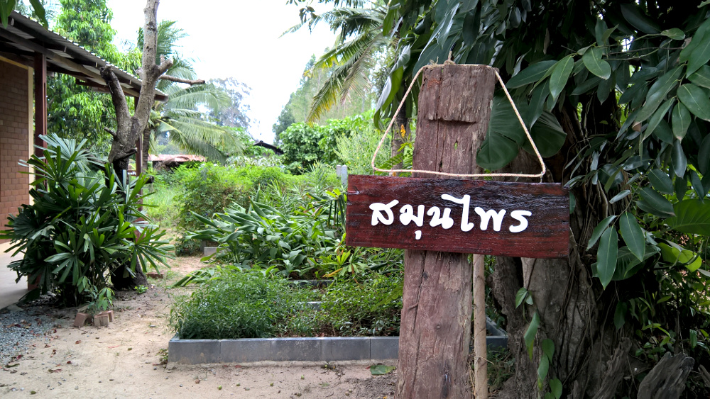 ภาพที่ 6