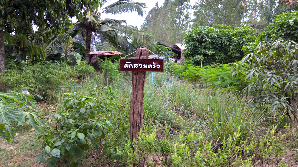 ภาพที่ 7