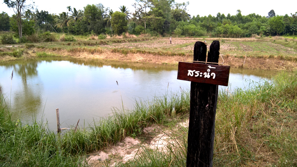 ภาพที่ 8